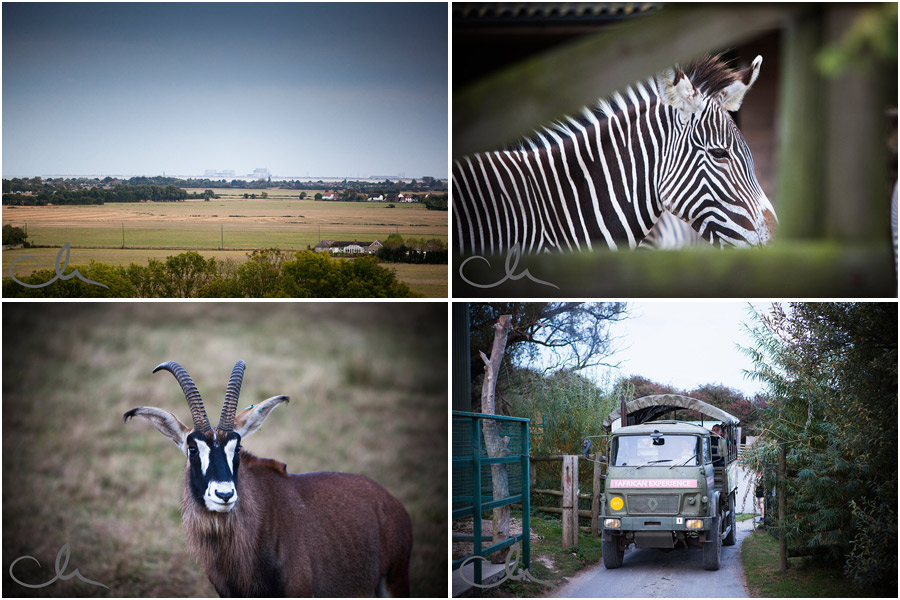 Lympne Zoo Safari Kent