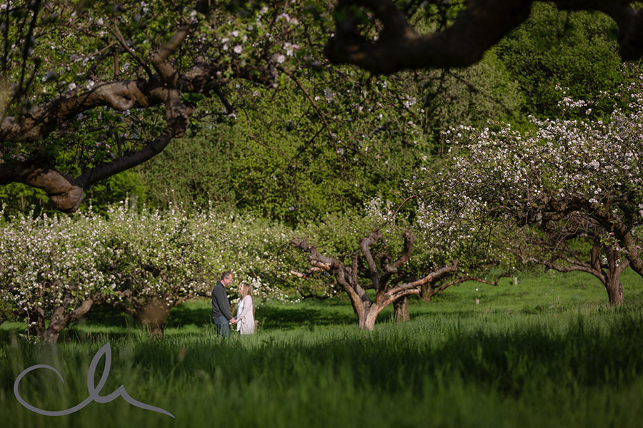Derek-&-Caroline's apple blossom engagement shoot