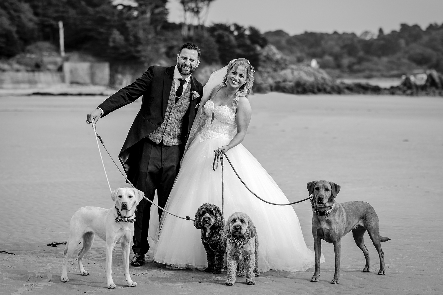 The bride and groom pose happily with their beloved dogs on the beach of St Brelade ahead of their wedding reception at L'Horizon Hotel Jersey, CI